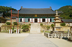 korea_daegu